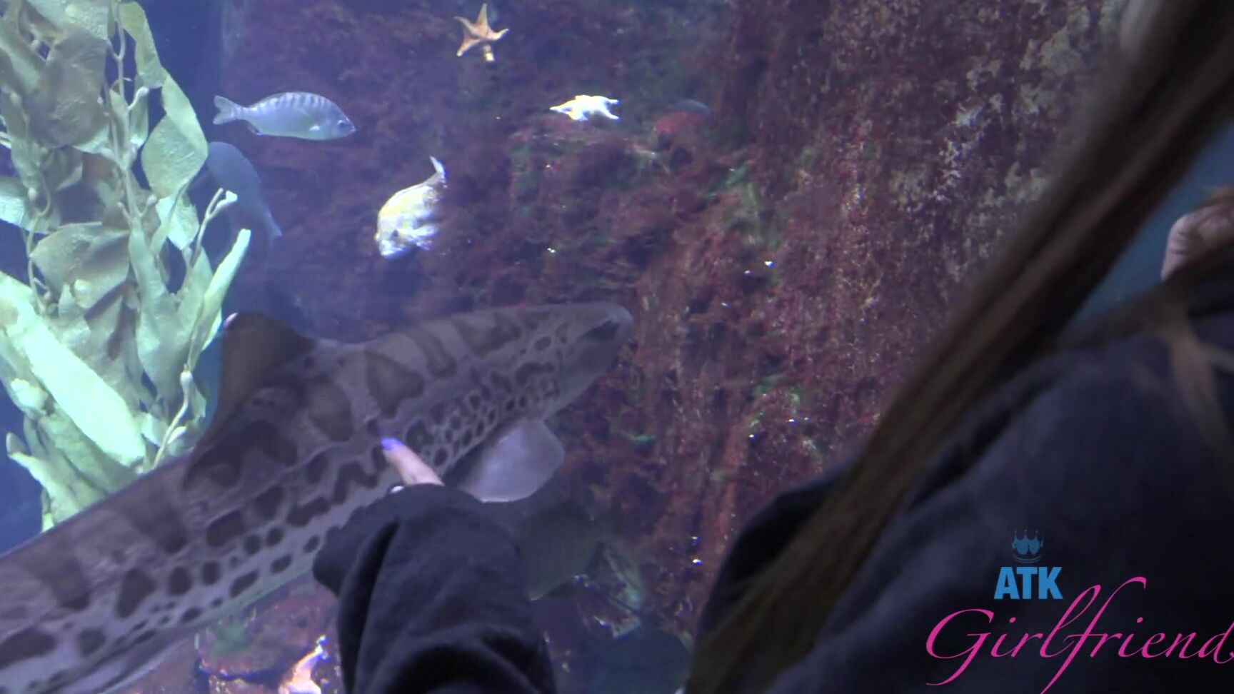 "Violet Viper" POV, Hairy, Pissing, Smoking, Tattoos, Exhibitionism Violet Viper - Aquarium Date 1 SiteRip