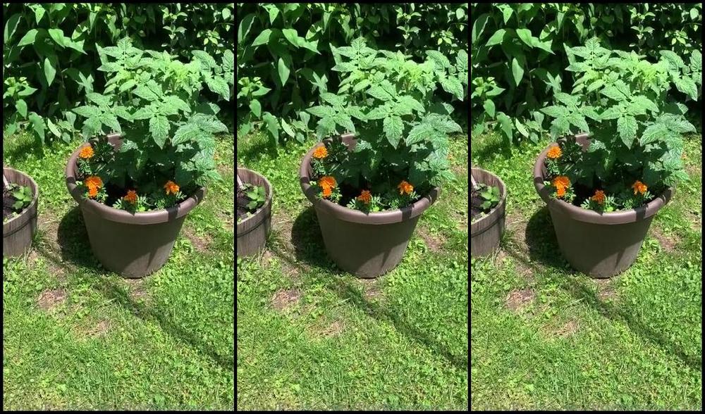 Goddess Christine Nicknamed Findomchristine Onlyfans A Tour Of My Paradise While You Stare At My Perfect Feet