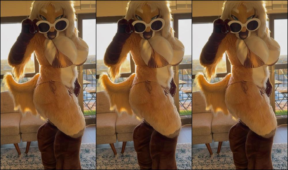 Angel Pups 1349850136 Come On Babe Let S Enjoy The Sunset Together 01 0Hv2R5Pgk87Owzgeg0Du3 Source