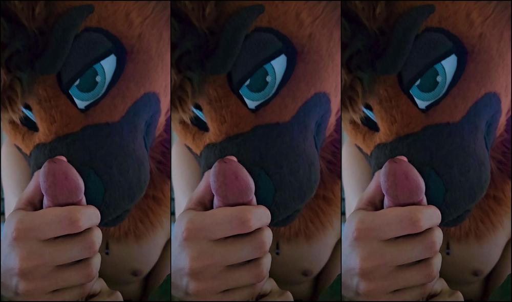 Palacewolf 549008710 Just A Shep Taking Care Of A Shep Bone 01 5Fdf9Aae Ef34 47B4 97Ef Caf7Ea1789E2