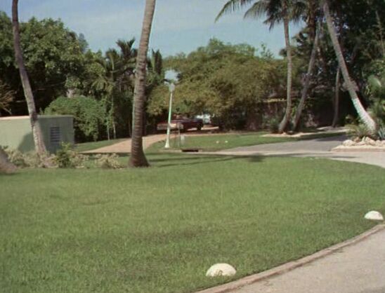 Drama Goldilocks And The Three Bares SiteRip