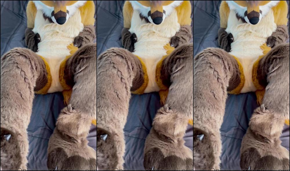 Angel Pups 207325314 Having Some Fun With Those Paws 04 5D4Ceb79 611E 46Fd A0C2 561601B05671