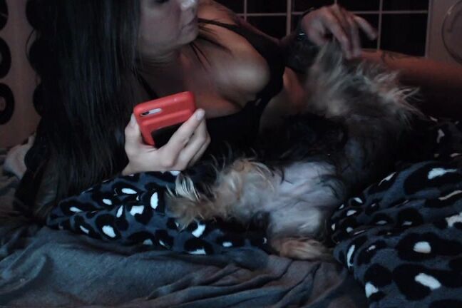 Felicity Feline Dancing At Home And Whatnot