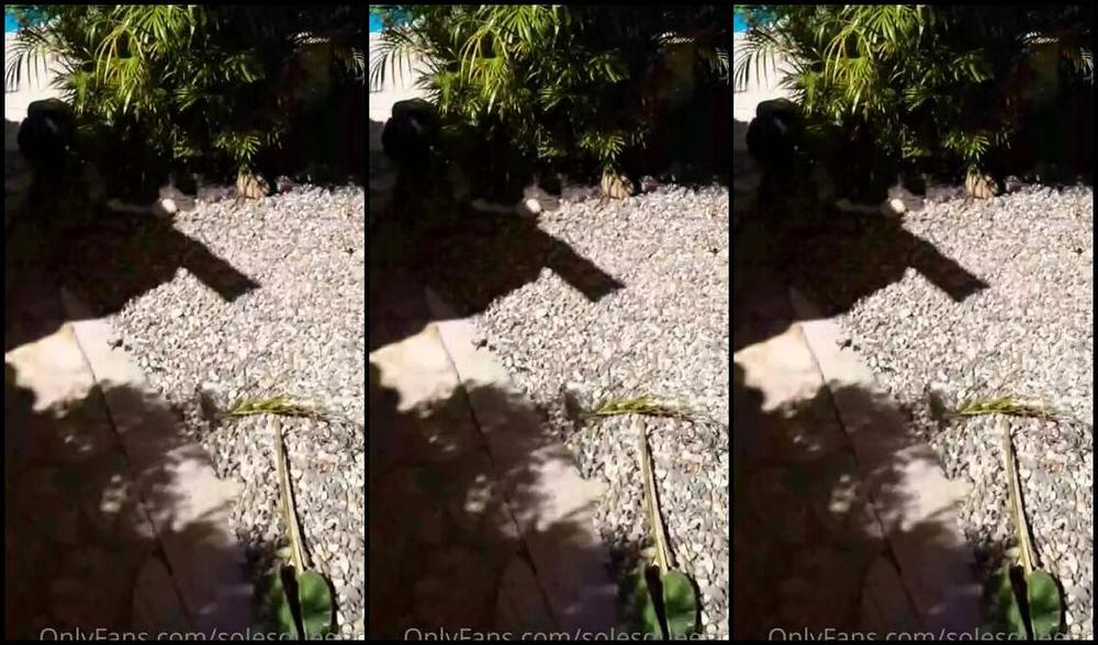 Meryann Aka Solesqueenrd Onlyfans Good Morning Guys This Post Is For Let You Know What I Been Doing Those Days Busy And Running