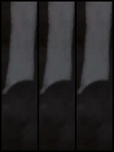 Bellatina 14888144_video_2020-12-18_15-10 MYM fans