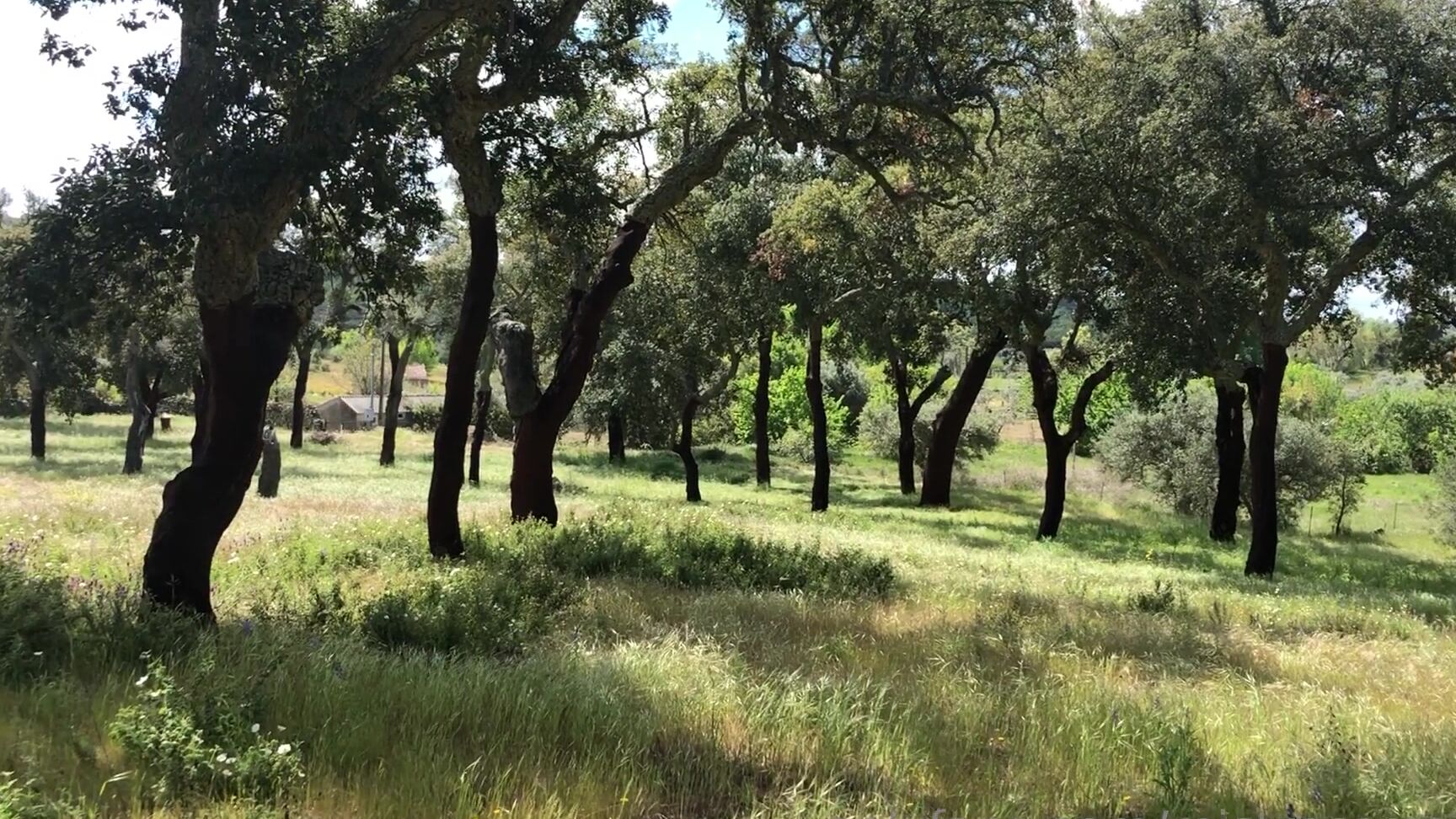 Miss Ruby Marks Not A Bad Spot For My Morning Workout