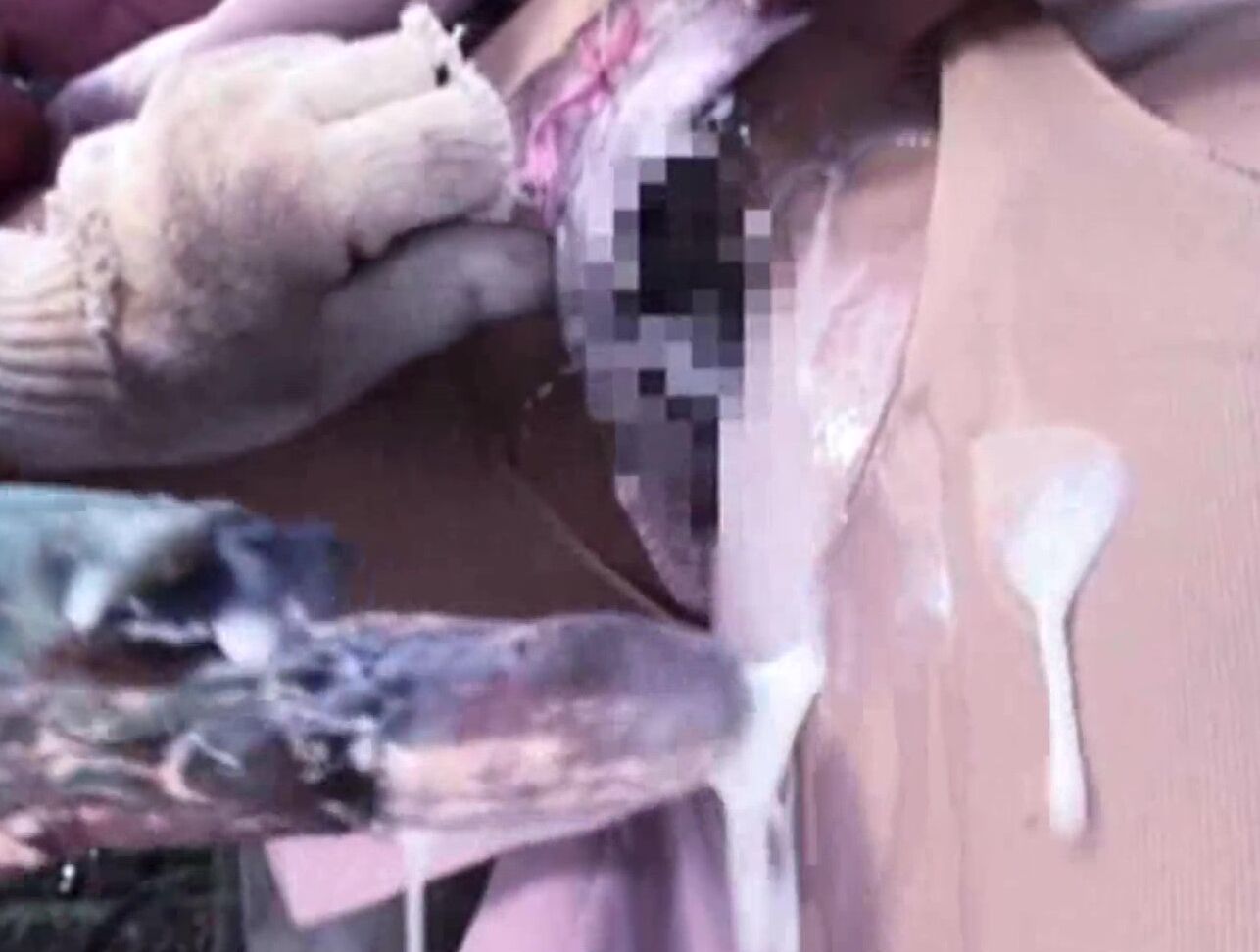 Other Fetish, Tentacle Kamiya Rino, Ayami SOD Create