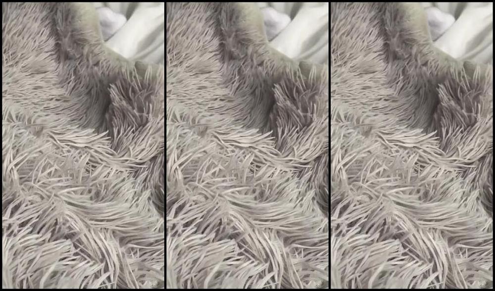 Anas Socks Nicknamed Anas Socks Onlyfans Good Morning Sweeties Come Join Me In My Bed There Is Room For Two