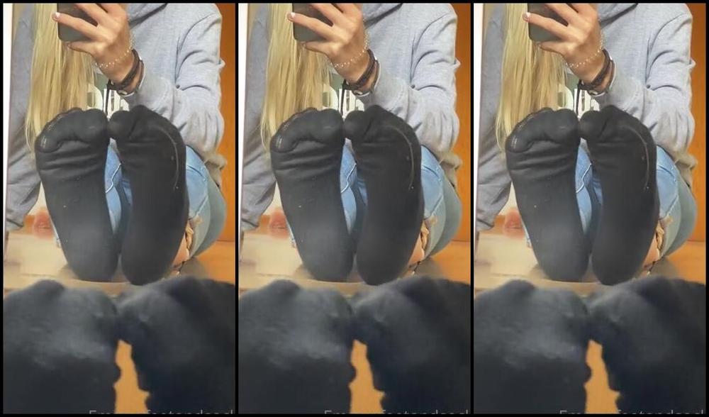 Emmysfeetandsocks Aka Emmyfeetandsocks Onlyfans Look At These Super Shiny Socks They Can Stand By Themselves Bc They Are Soo Full Of My Sweat Tomp