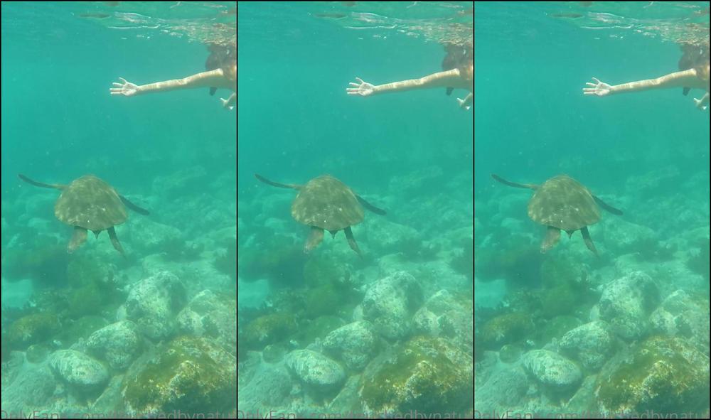 0Hf8Hfi2P05Bn1Gj9Irq1 Source