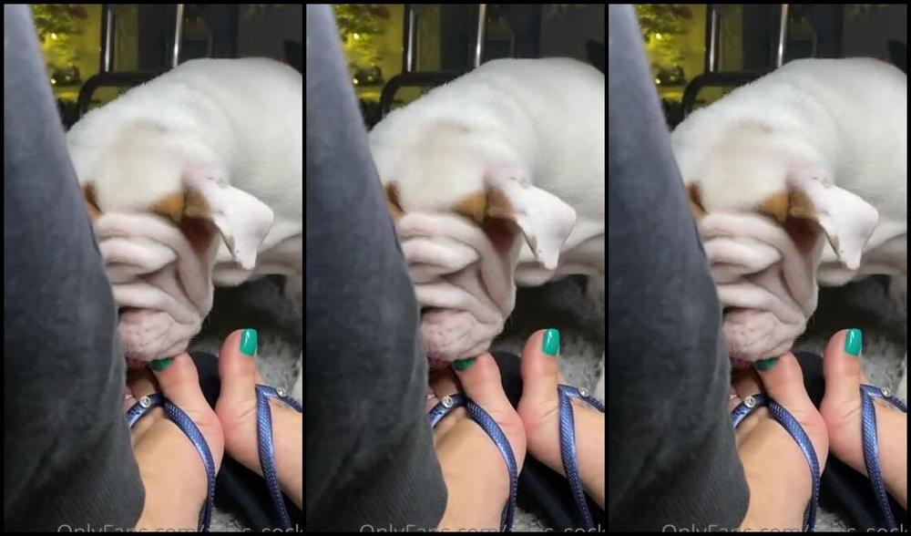 Anas Socks Nicknamed Anas Socks Onlyfans Video 922