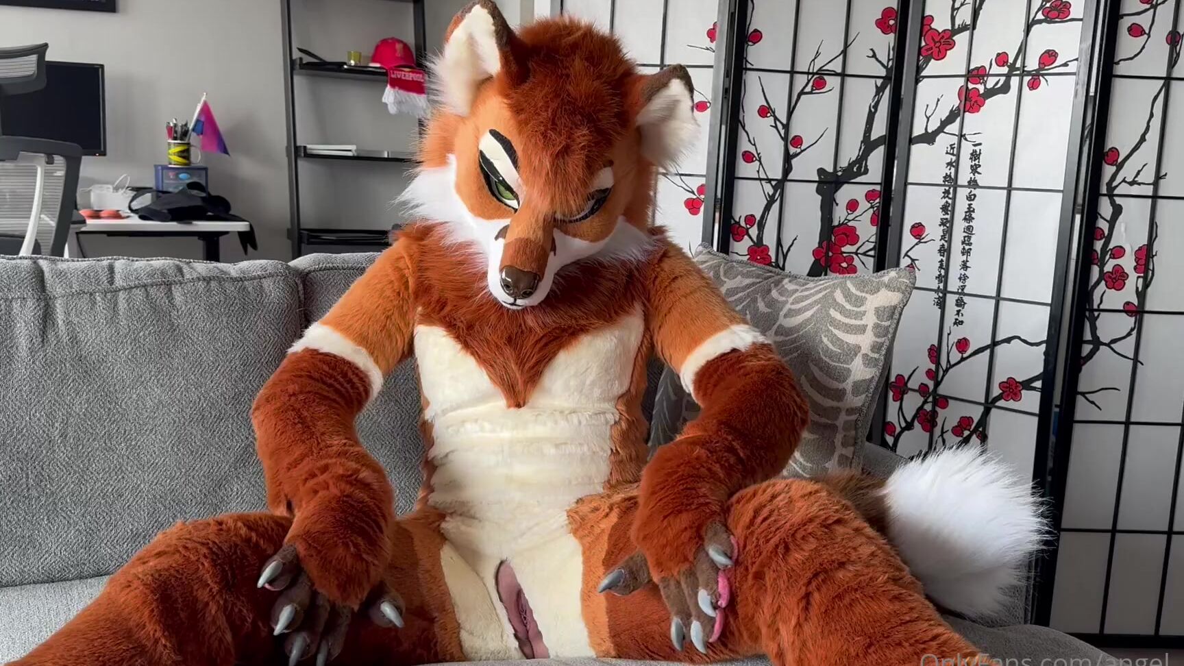 Angel Pups 1267370532 Some Hot Fox Action In Store For You This Week 01 0Htkdmjwkoqh86Pnrdspc Source