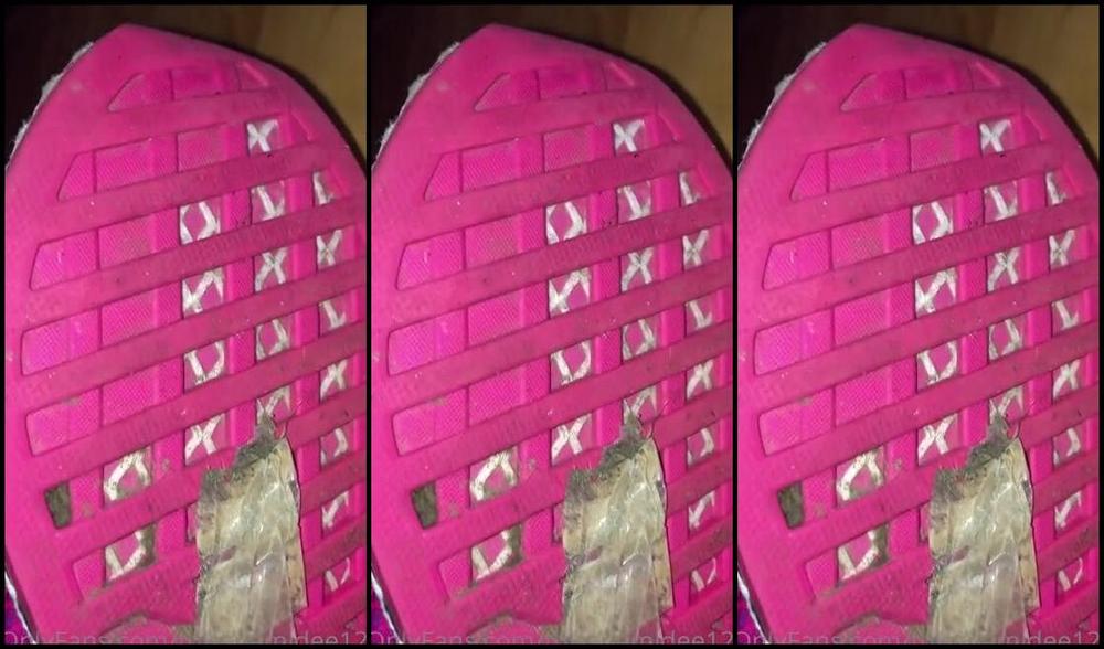 Miss Demi Dee Nicknamed Missdemidee123 Onlyfans Do You Wish You Could Be Turned Into Nothing More Than A Shoe Cleaning Machine And Foot Worship Slut