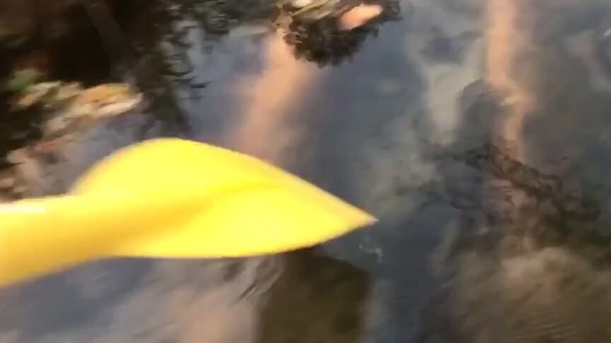 Goddess Anabelle Pync Nicknamed Anabellepync Onlyfans Video 72