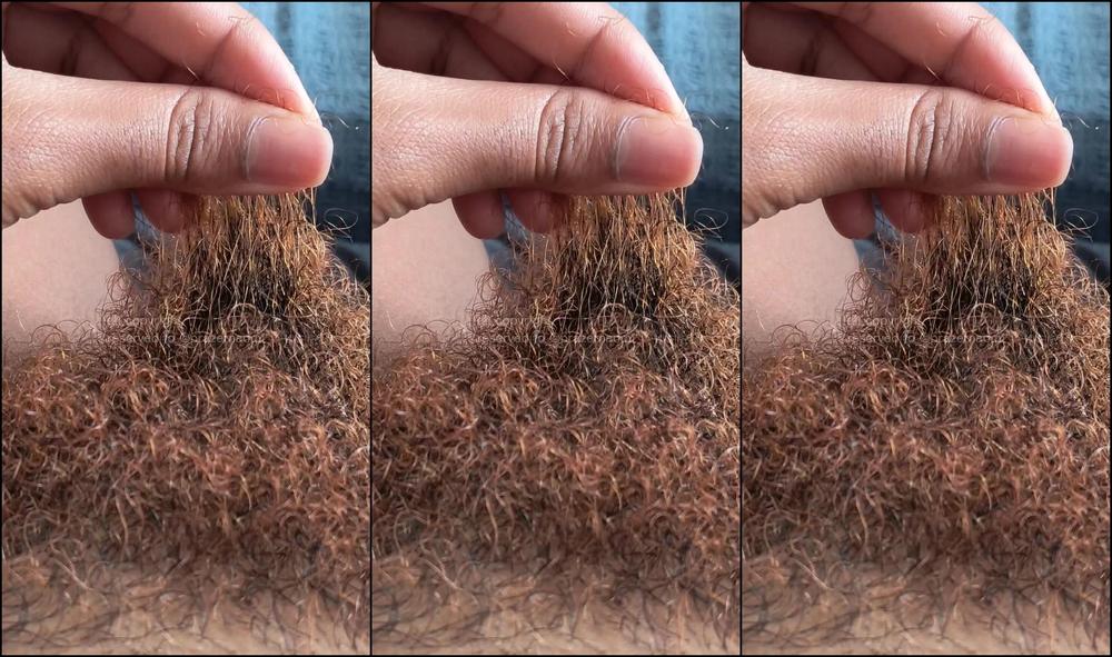 Prazernaomi 3669479694 01 29 2025 Black Bush Is Coming Back Os Cabelos Pretos Voltando