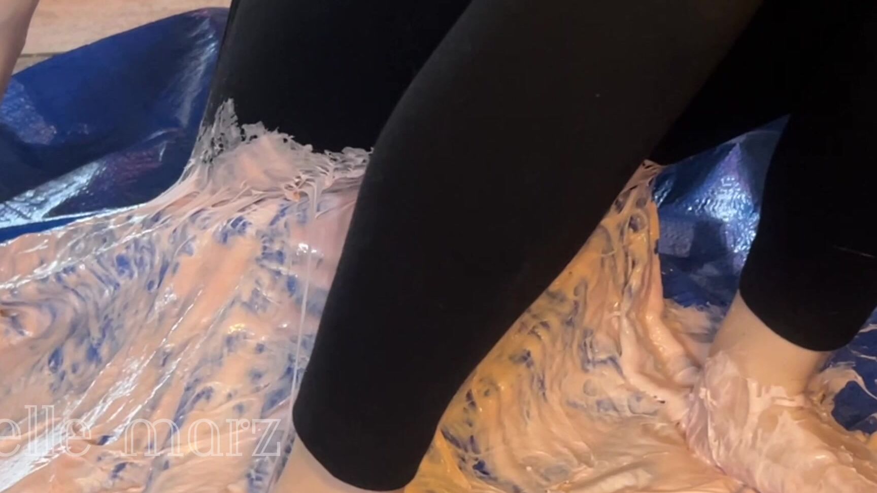 Elle Marz Giant Cat Burglar Gets Stuck In Huge Fly Trap