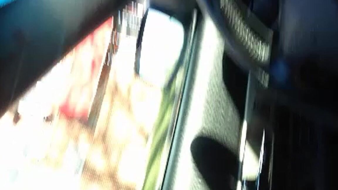 Snowbunnyy Twin Sister