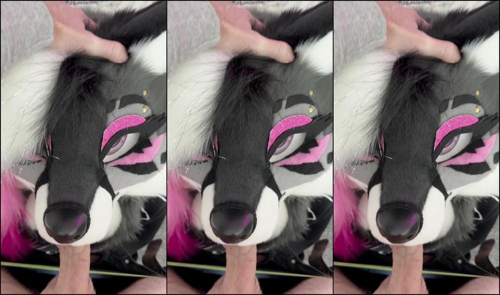 Angel Pups 1499862749 How To Properly Handle A Bratty Raven 01 0Hxt1Lsbibo829Ep382Lu Source