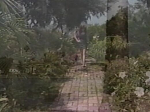 "Jacqueline, Alex Storm, Champagne, Racquel Darrian" Classic Class Act Vivid