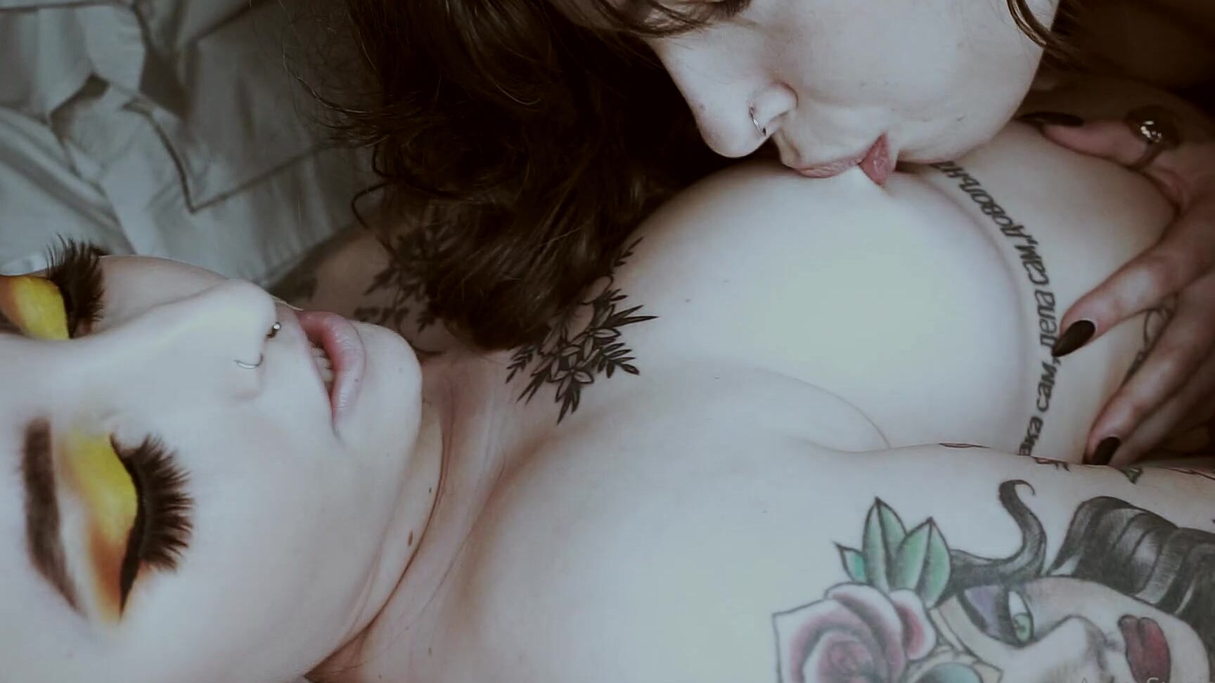 Apex Suicide Bundle Includes A Random Collection Of Some Of My Collaborations Over The Past Few Years