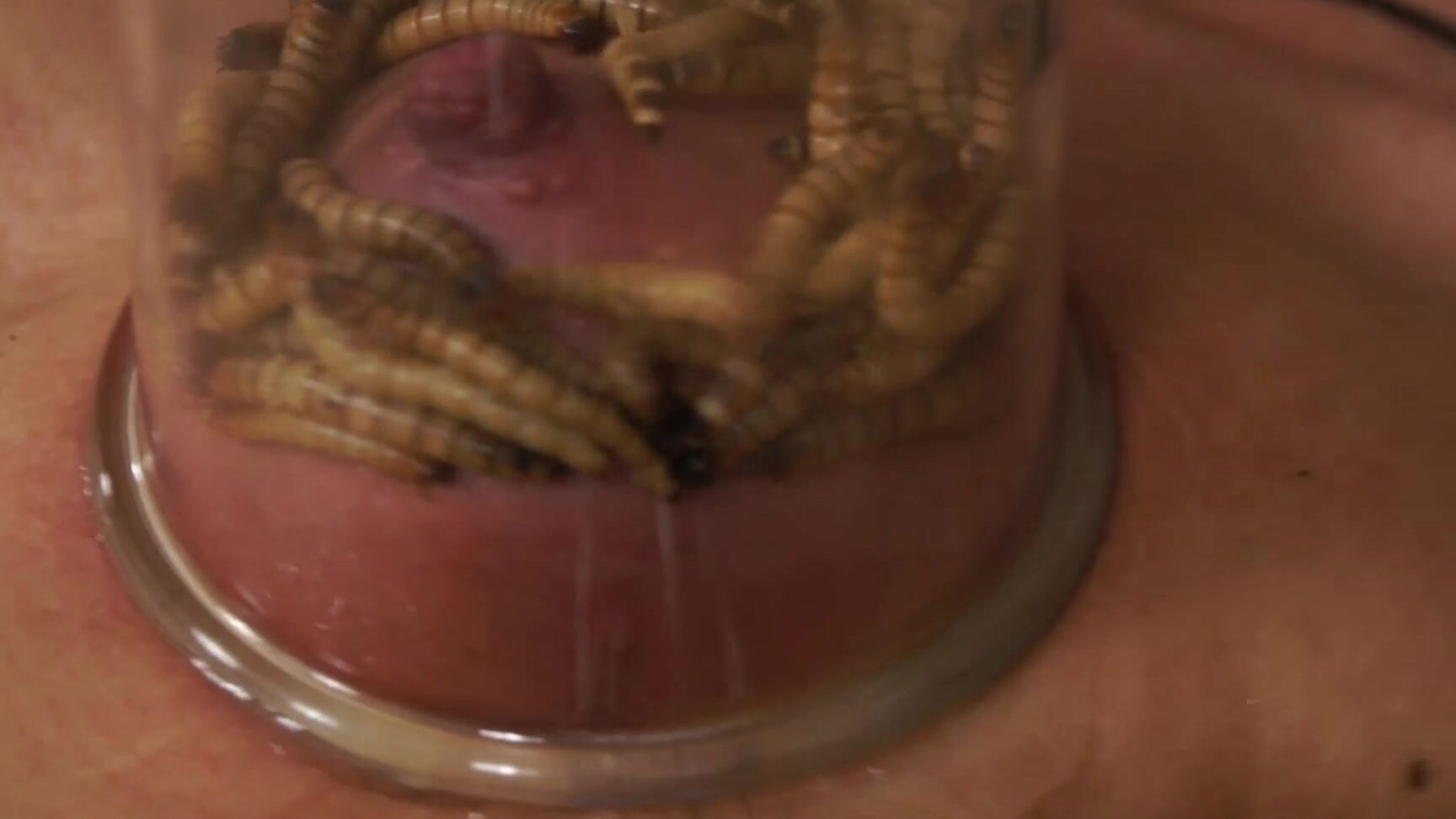 Lezdom, BDSM, Worms, Vacuumpump, Nipples, Bondage Halloween Horror Queensnake Studio