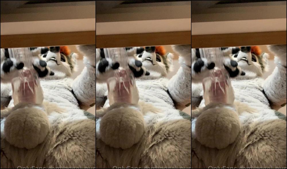 Angel Pups 296862896 Few Angles Of Storm Using His Fleshlight 01 2D9Cbb60 D7F2 4A4A B8Bf 55D76Cb966D4