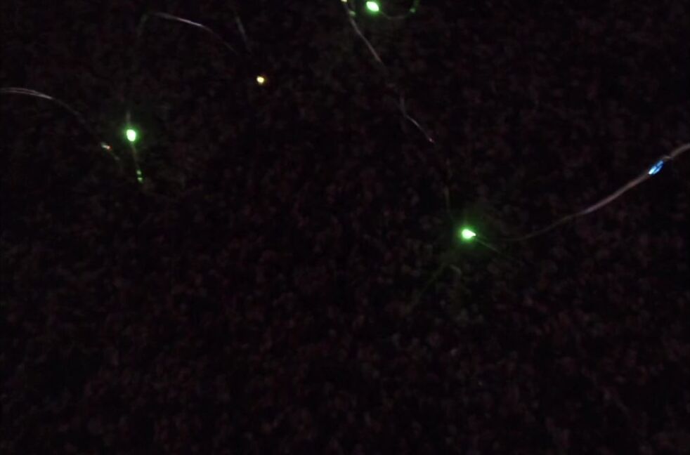 Lexdollface Lexi In The Lights