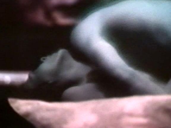 "Susan Sloan, Beerbohn Tree, Angel Barrett, Jennifer Jordan, Heather Austin, Raymond Court-Thomas" Feature, BDSM, Lesbian The Naughty Victorians An Erotic Tale of a Maiden's Revenge Astral Presentations