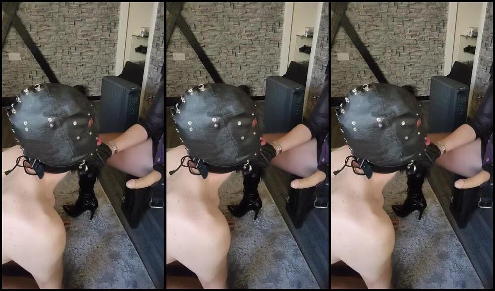 Miss Jo Mistress Nicknamed Missjomistress 01 17 2024 Onlyfans Video Slave Learning To Worship Mistresss Cock