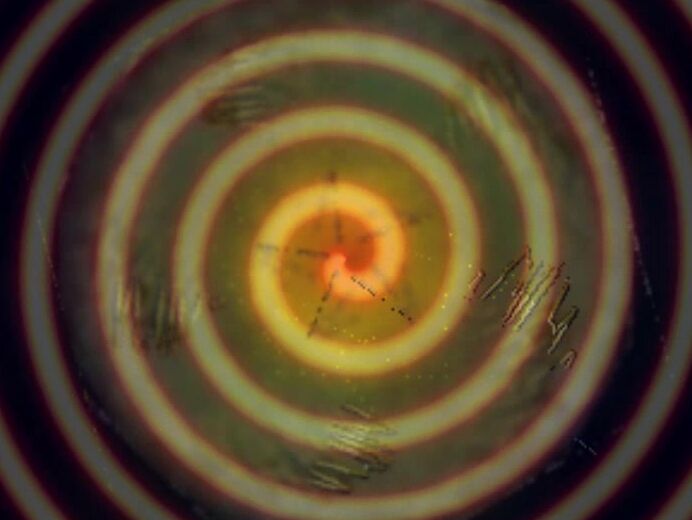 Mental Domination,Mesmerize,Mind Fuck,Slave training sophieshox mindfuck part 7 ManyVids