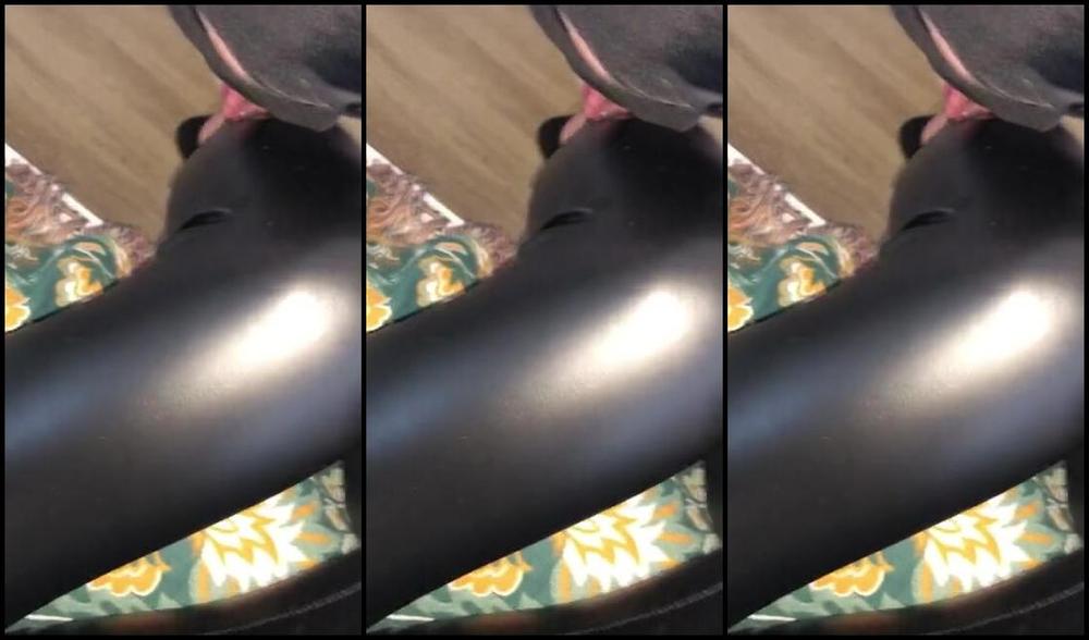 Goddessluna26 Femdom 03 17 2023 Onlyfans Video Gefugige Sklaven Verdienen Sich Besondere Belohnungen