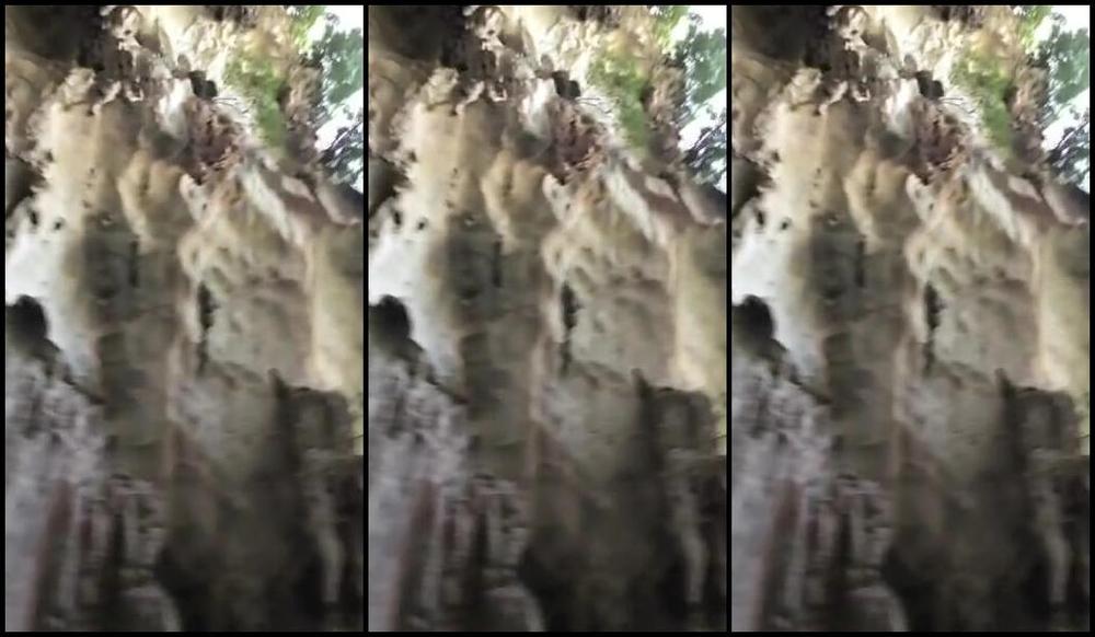 Giapaige 2017 12 19 5685261