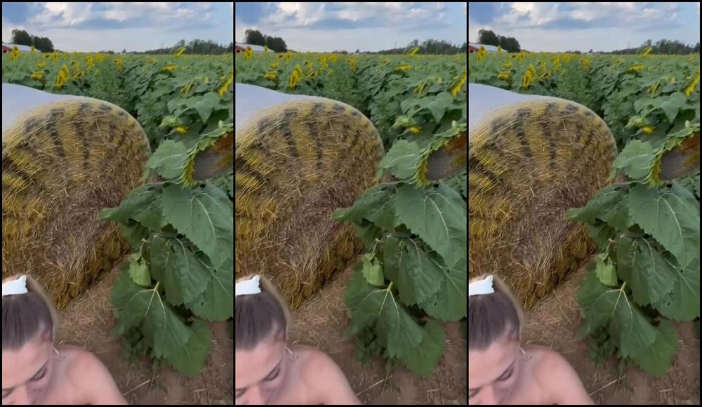 babykaitt 17 06 2023 526463487958851584 sunflower field bundle 10 photos of me stripping completely naked 3 minutes Fansly