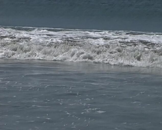 Feature, BDWC, DP, Anal, WDAC Private Film 14 - Costa Rica Studies Private