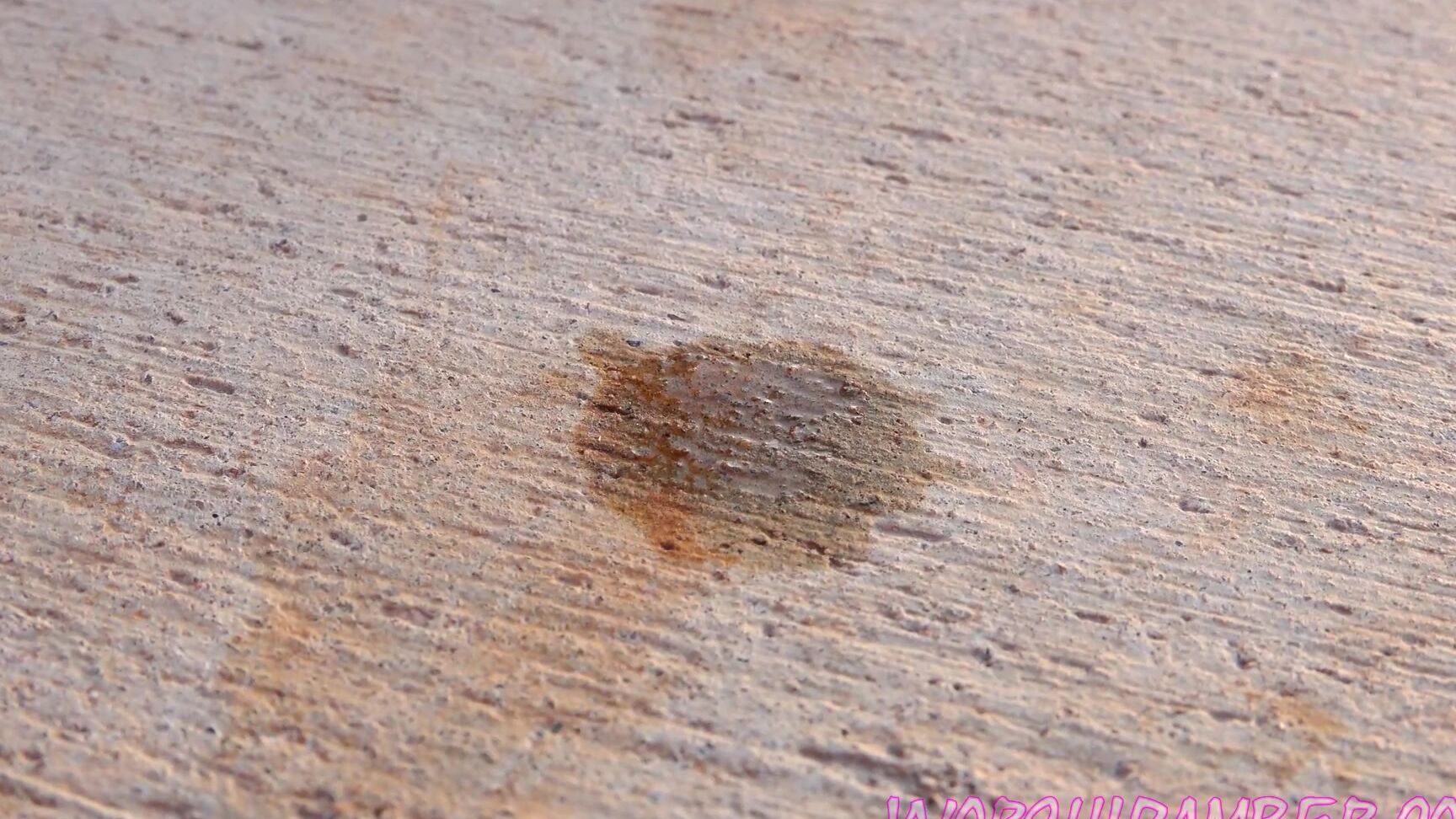 Humiliation, Femdom POV, Spitting, Legs, Foot Fetish, Leash and collar, Slave Training Worship Amber - Walking You In Public SiteRip