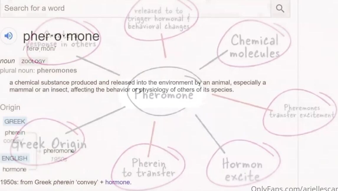 Ariellescarcella Vagina Juice As Perfume Who Would Be Down If Someone Did This