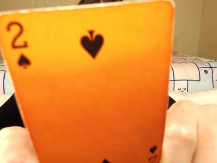 Blancnoir Missnoir Xx Mfc Joined G