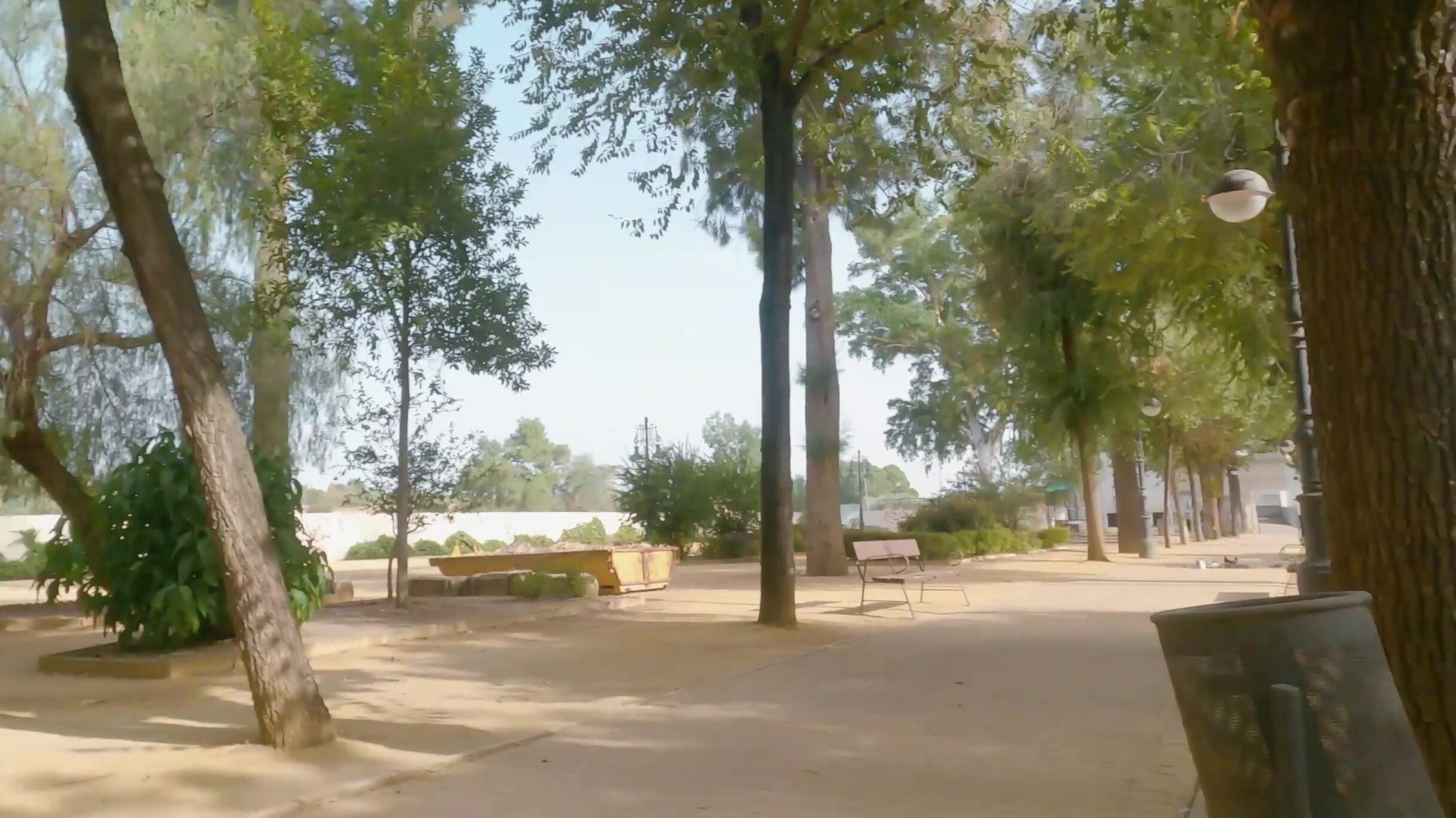 Mya Quinn Public blowjob in the park-cum swallow ManyVids