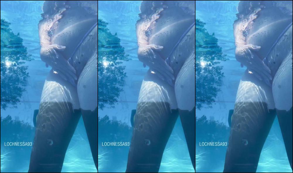 Lochnessa93 3006022610 09 09 2023 Take A Peak Under The Water