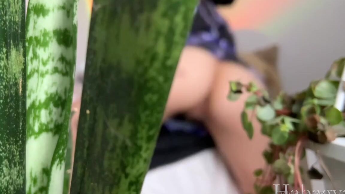 Habadomina Onlyfans Feeling Grateful For My Fans Enjoy Some Twerking Nd