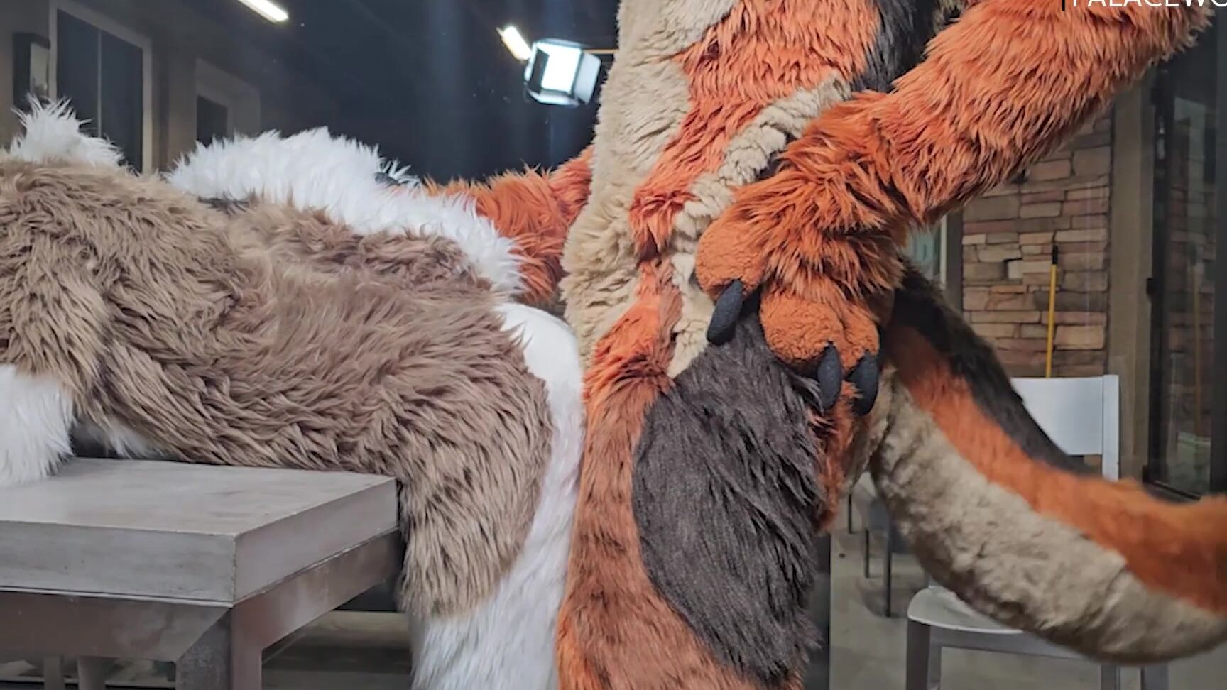 Palacewolf 773767788 21 Minute Skit Video Rent Is Due Watch My Landlord Com 01 D2Bcf615 Bdf3 4641 Ad82 9A22Ba942Ee3