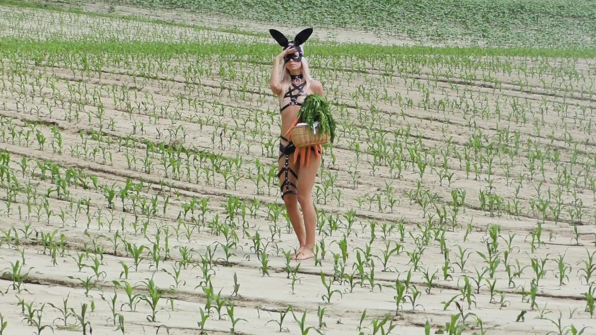 Role Play, Squirt, Cosplay janavolkova horny bunny and her carrots hd