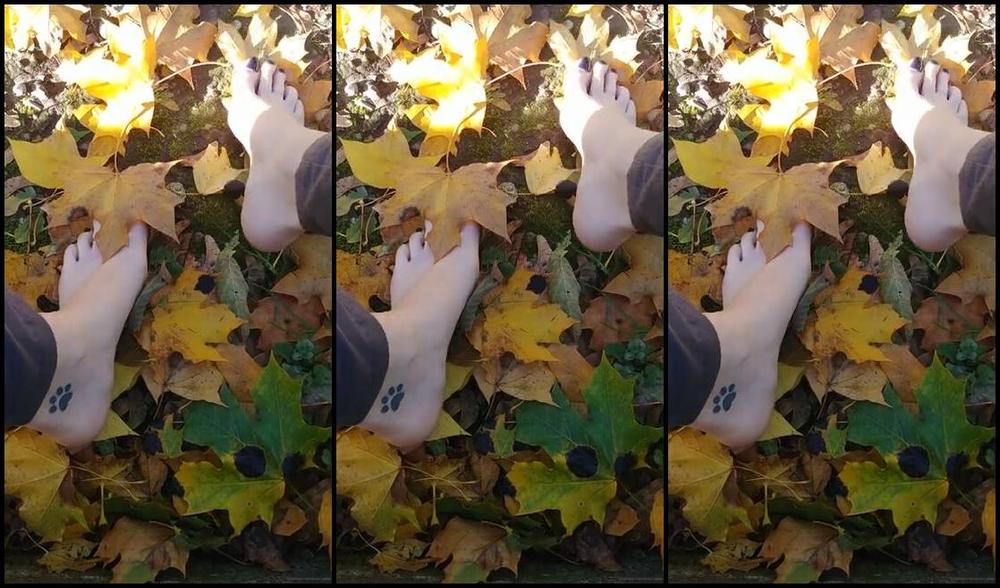 Sloans Paws Nicknamed Sloan Paws 10 29 2019 Onlyfans Video Short Clip Playing In The Leaves