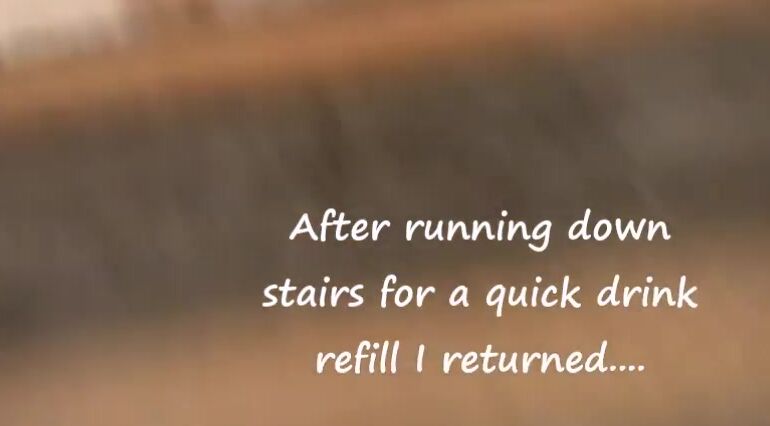 LupeAndMicha Lupeandmicha DVP CreamPie Special Manyvids.310410 LupeAndMicha