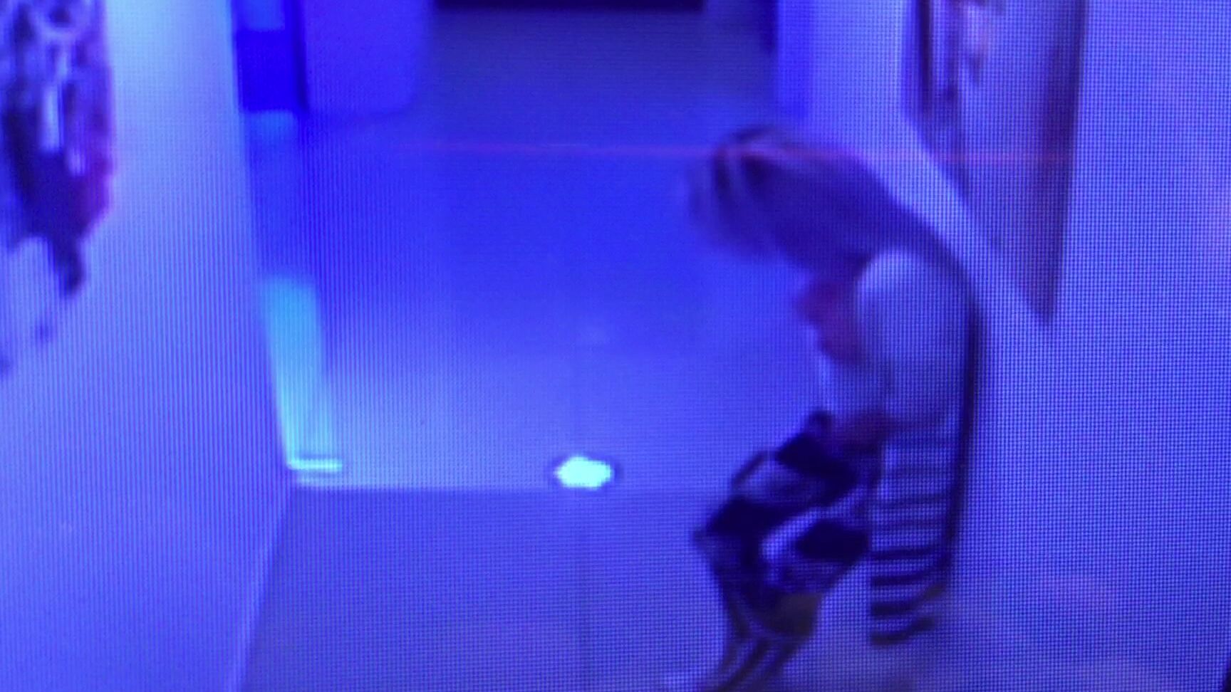 Masturbation, Outdoors, Dildo Fucking, Dildo Sucking, Orgasms aliciarey caught on tape ManyVids