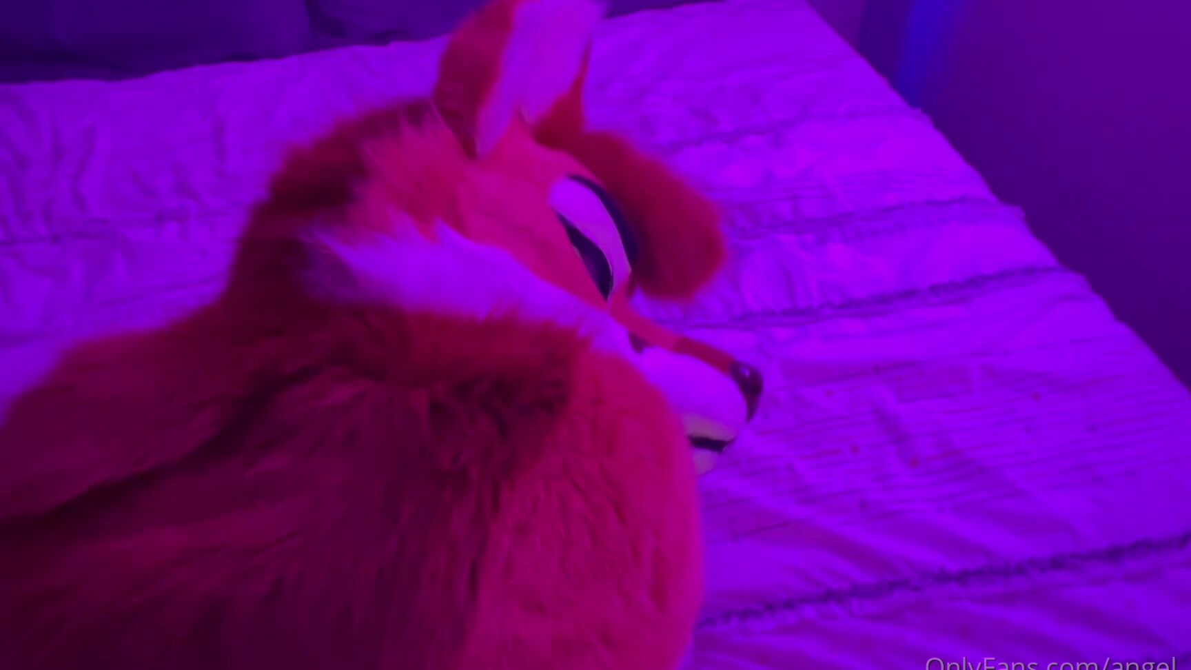 Angel Pups 853590874 Hurry Up And Put It In Already 01 0Hkxg9Q6Yejmgo477Osrz Source