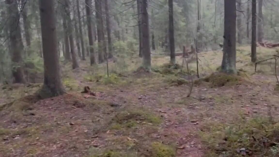 "Twink Pop" Solo, Gay Tattoo, Nude Tiktok, Orgasm, Running Train, Fetish, Fast Handjob, Perfect Body, Big Dick, Gay Big Cock, Public Masturbation, Loud Moaning, Cumshot Compilation, Gay, Turkish, Suggest Twink Pop Forest running led to orgasm pornhub