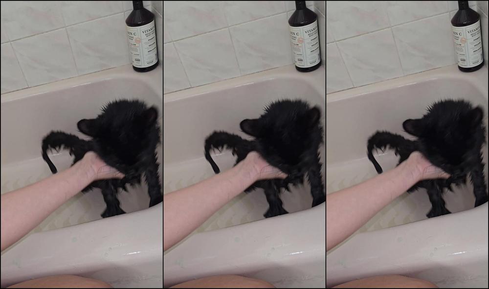 Your Submissive Doll 3648376089 01 15 2025 Ducky Badly Needed A Bath And Apparently I M The Best Person For The Job