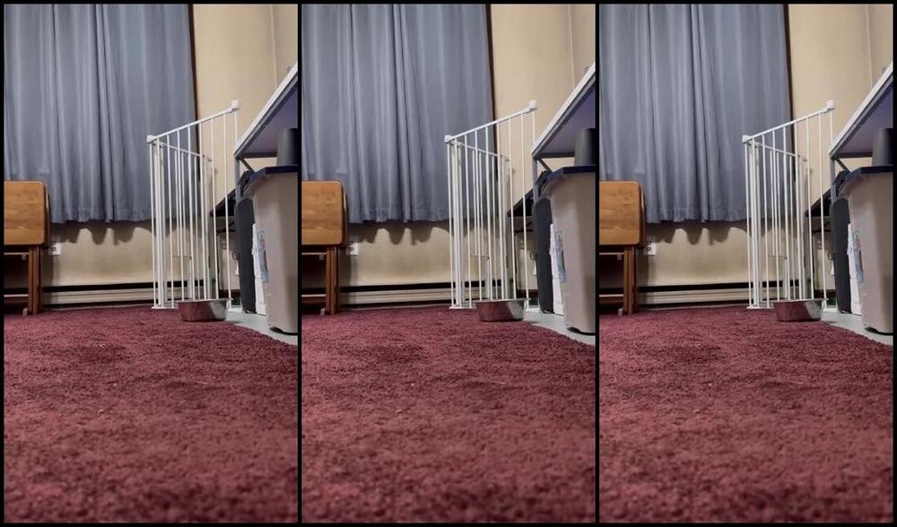 Soldmysolesforink Nicknamed Soldmysolesforink 12 04 2023 Onlyfans Video Late Start To My Monday But That Doesnt Mean I Cant Come With The Motivation For