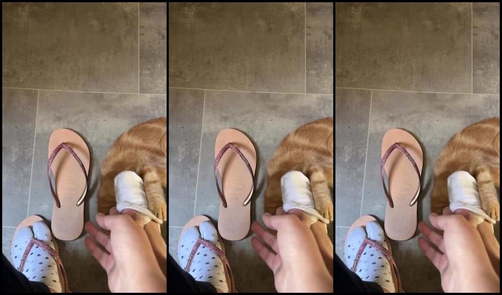 Gia S Feet Nicknamed Footsiebab 12 21 2023 Onlyfans Video My Kitty Plays With My Feet And Sucks My Toe